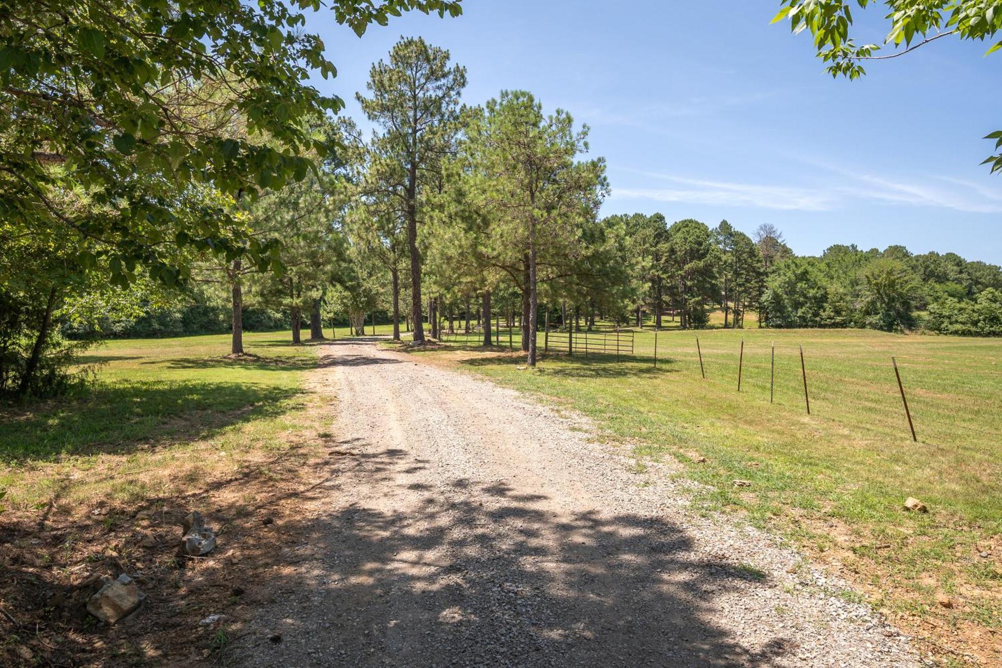 Spring Hill Farm - The Happy Hound Villa Alma Bagian luar foto